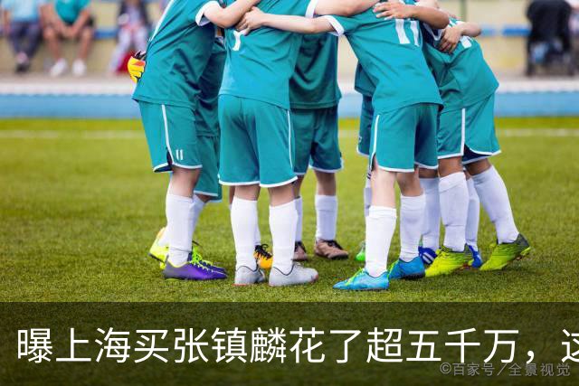 曝上海买张镇麟花了超五千万，这相当于一支球队整个赛季收入！