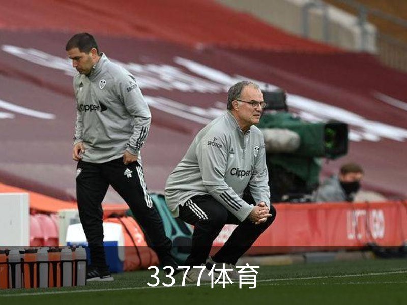 3377体育概况